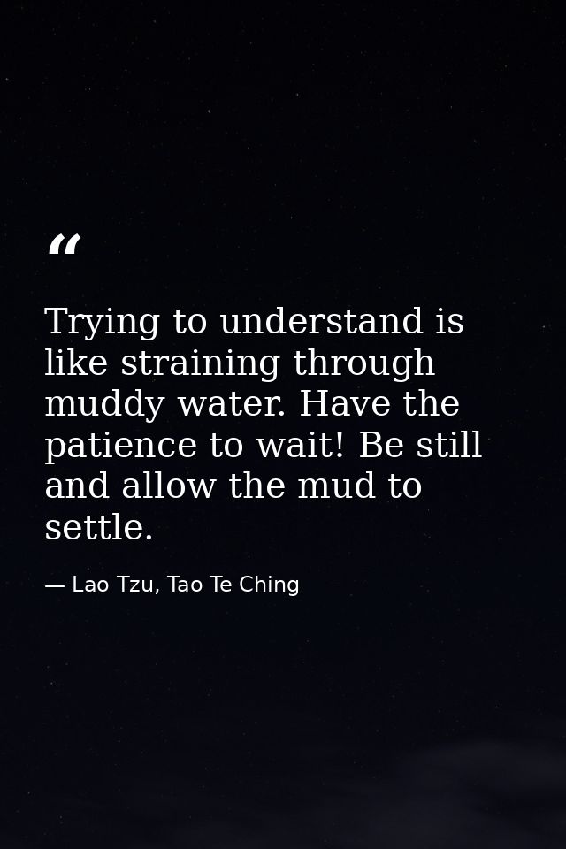 Trying to understand is like straining through muddy water. Have the patience to wait! Be still and allow the mud to set — Lao Tzu, Tao Te Ching