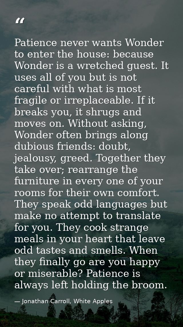 Patience never wants Wonder to enter the house: because Wonder is a wretched guest. It uses all of you but is not carefu — Jonathan Carroll, White Apples
