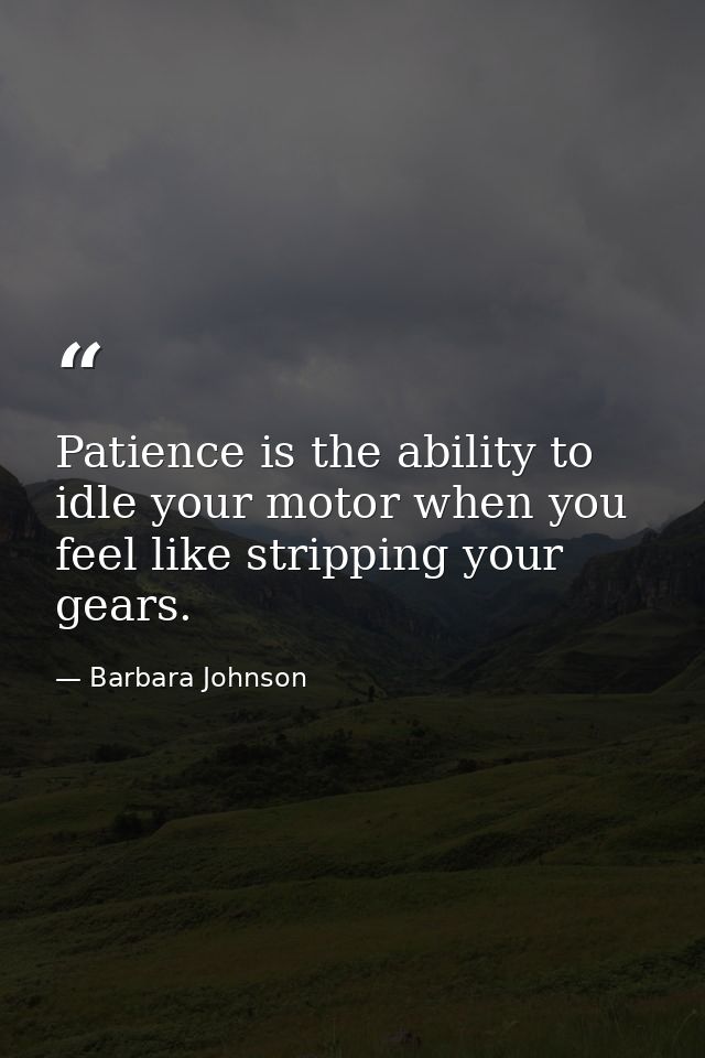 Patience is the ability to idle your motor when you feel like stripping your gears. — Barbara Johnson