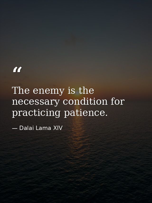 The enemy is the necessary condition for practicing patience. — Dalai Lama XIV
