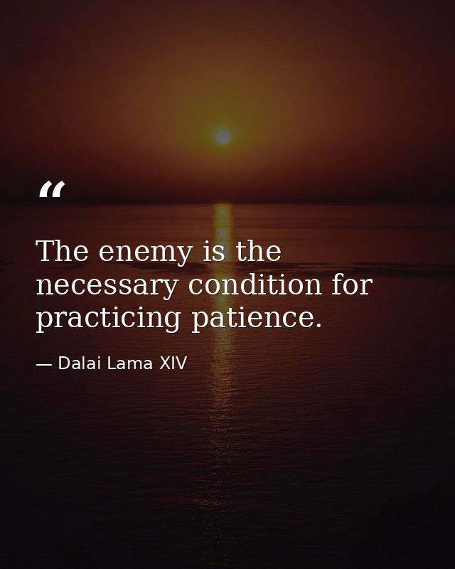 The enemy is the necessary condition for practicing patience. — Dalai Lama XIV
