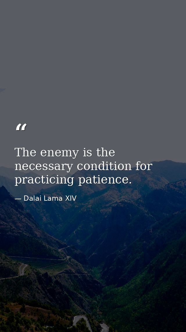 The enemy is the necessary condition for practicing patience. — Dalai Lama XIV