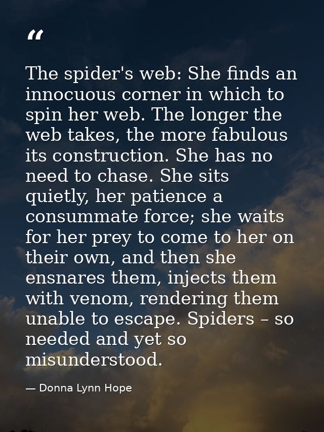 The spider's web: She finds an innocuous corner in which to spin her web. The longer the web takes, the more fabulous it — Donna Lynn Hope