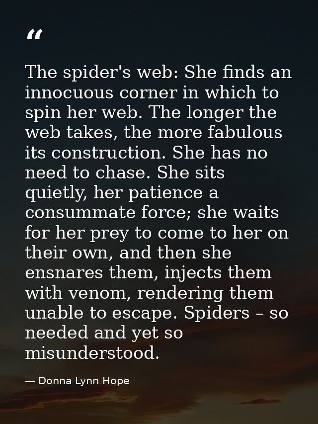 The spider's web: She finds an innocuous corner in which to spin her web. The longer the web takes, the more fabulous it — Donna Lynn Hope