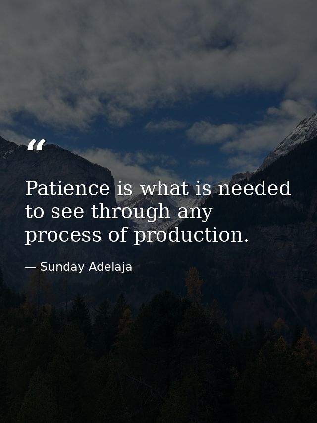 Patience is what is needed to see through any process of production. — Sunday Adelaja