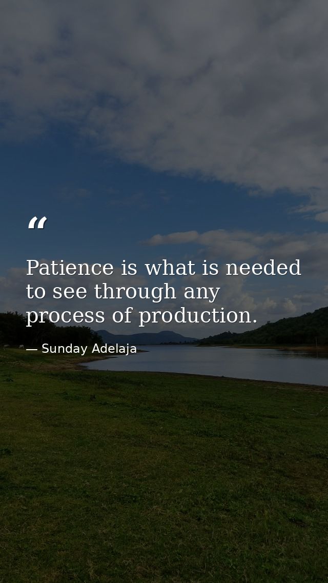 Patience is what is needed to see through any process of production. — Sunday Adelaja