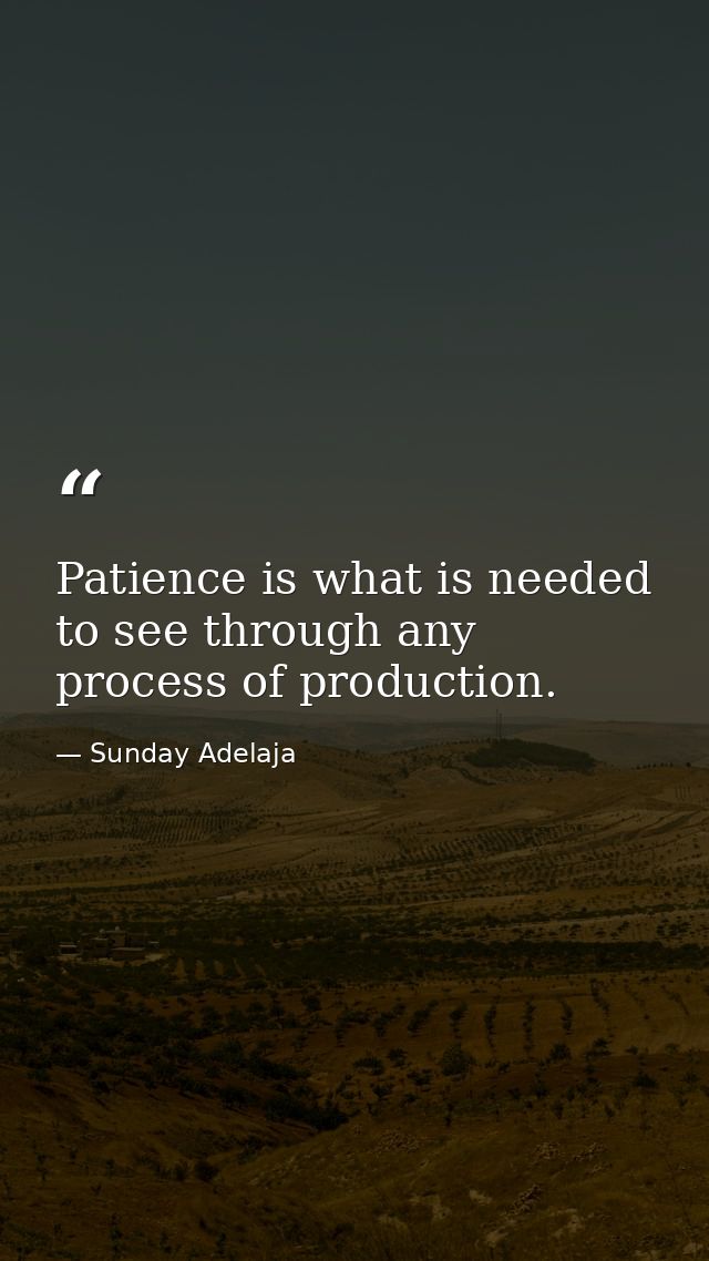 Patience is what is needed to see through any process of production. — Sunday Adelaja