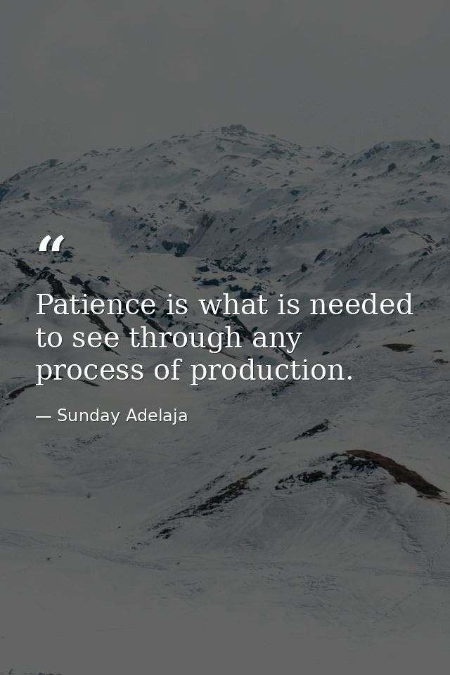 Patience is what is needed to see through any process of production. — Sunday Adelaja