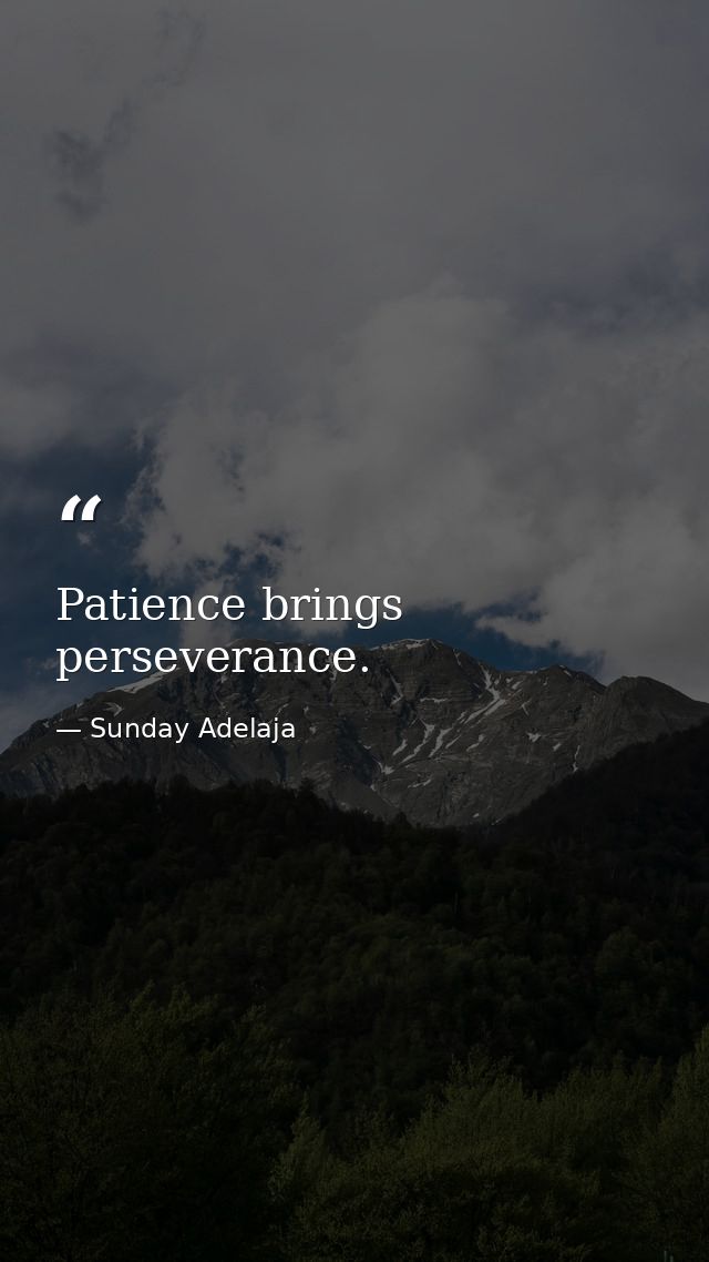 Patience brings perseverance. — Sunday Adelaja
