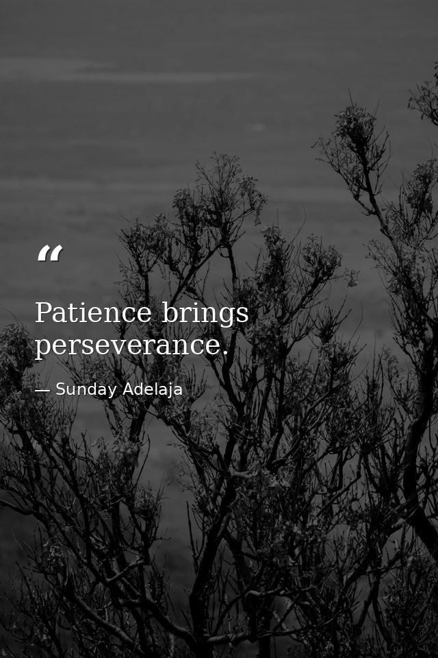 Patience brings perseverance. — Sunday Adelaja