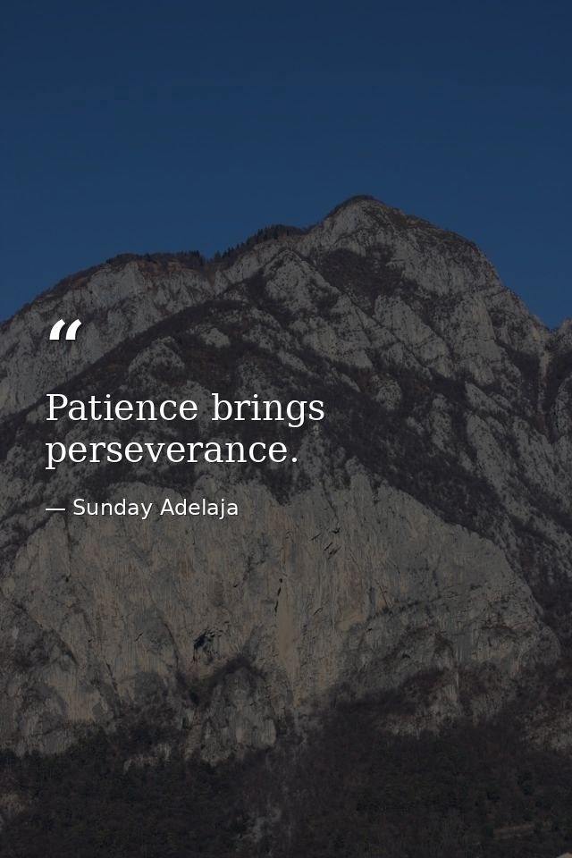 Patience brings perseverance. — Sunday Adelaja