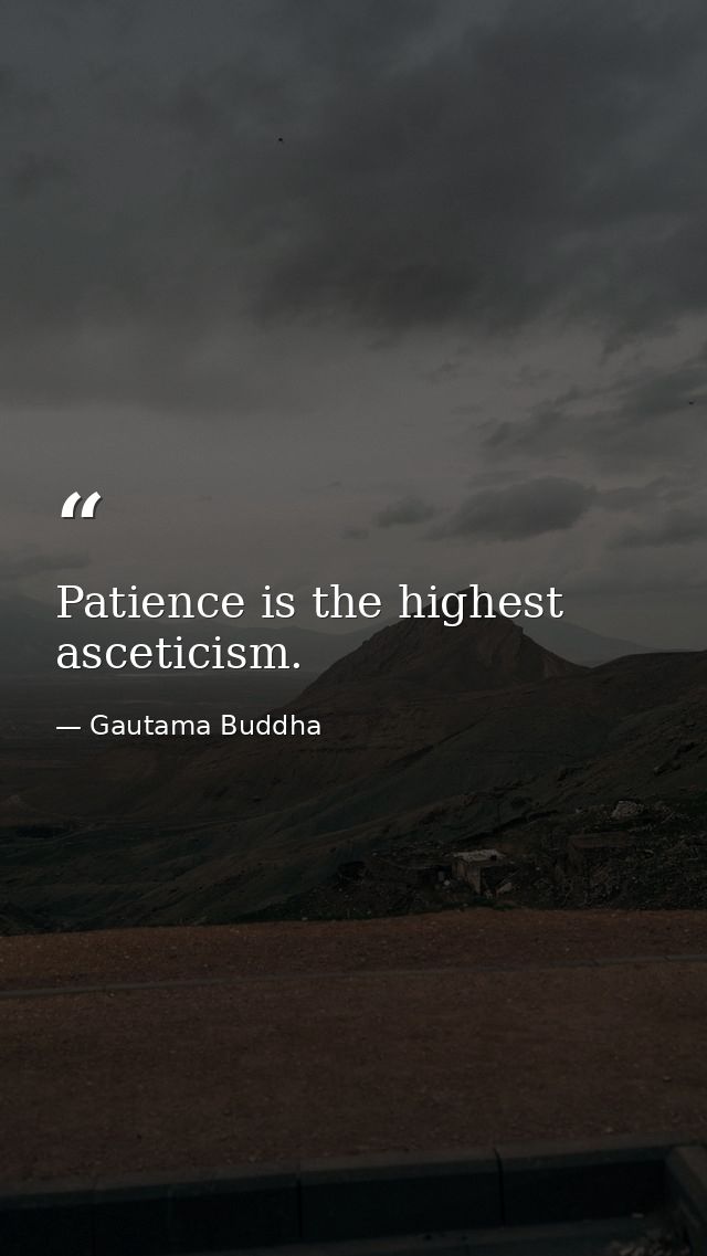 Patience is the highest asceticism. — Gautama Buddha