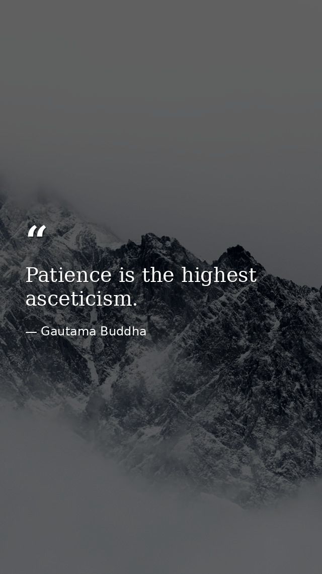 Patience is the highest asceticism. — Gautama Buddha