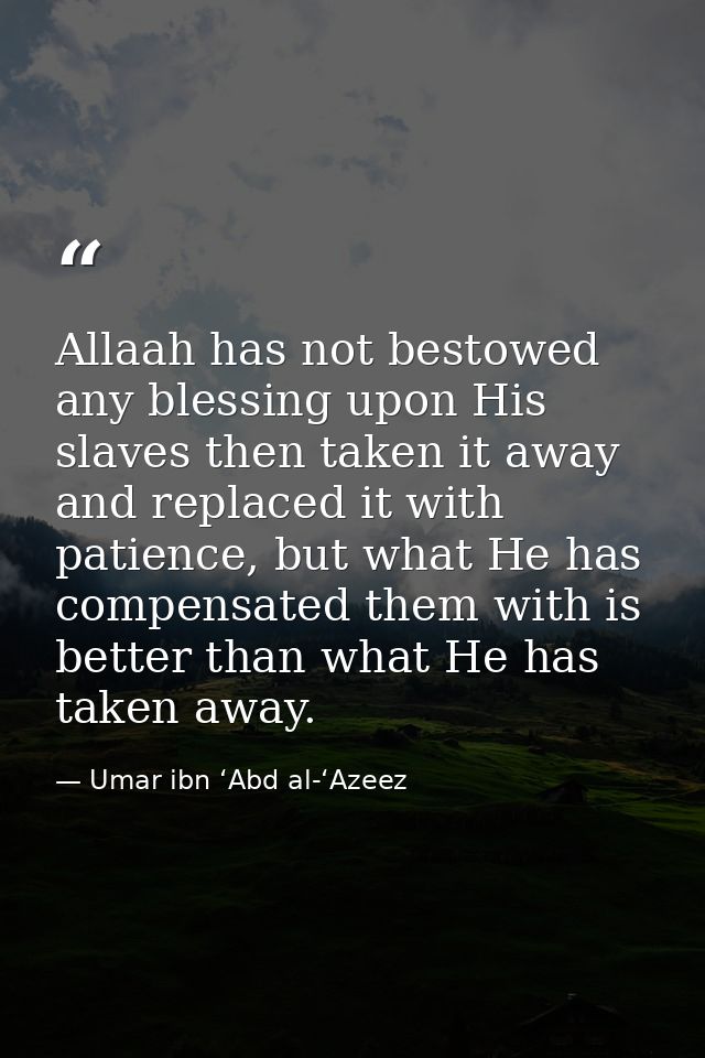 Allaah has not bestowed any blessing upon His slaves then taken it away and replaced it with patience, but what He has c — Umar ibn ‘Abd al-‘Azeez