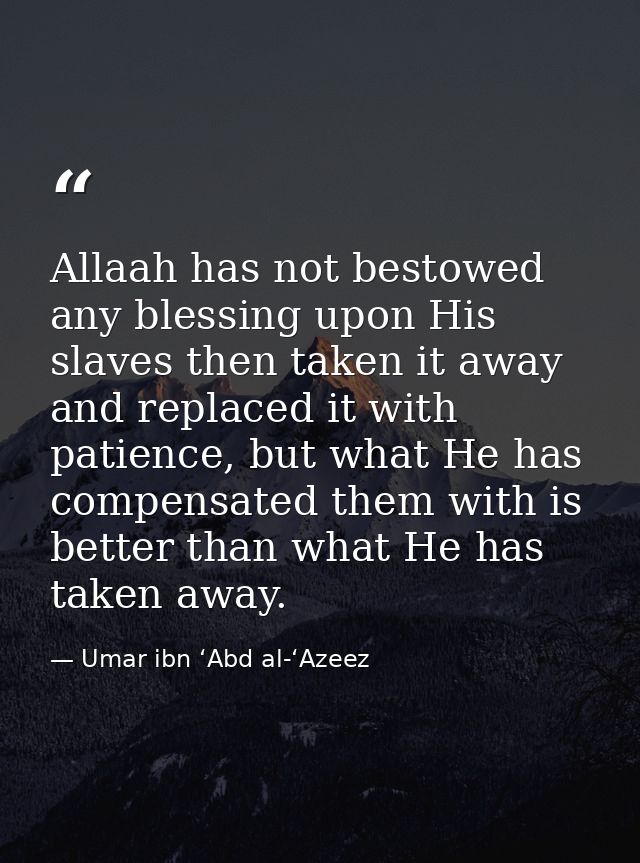 Allaah has not bestowed any blessing upon His slaves then taken it away and replaced it with patience, but what He has c — Umar ibn ‘Abd al-‘Azeez