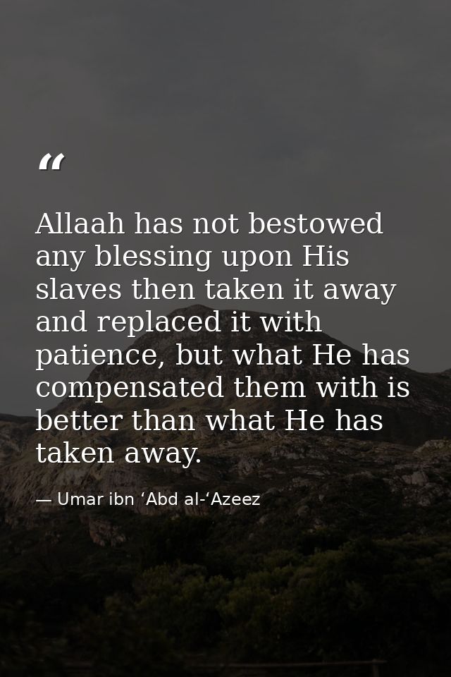 Allaah has not bestowed any blessing upon His slaves then taken it away and replaced it with patience, but what He has c — Umar ibn ‘Abd al-‘Azeez
