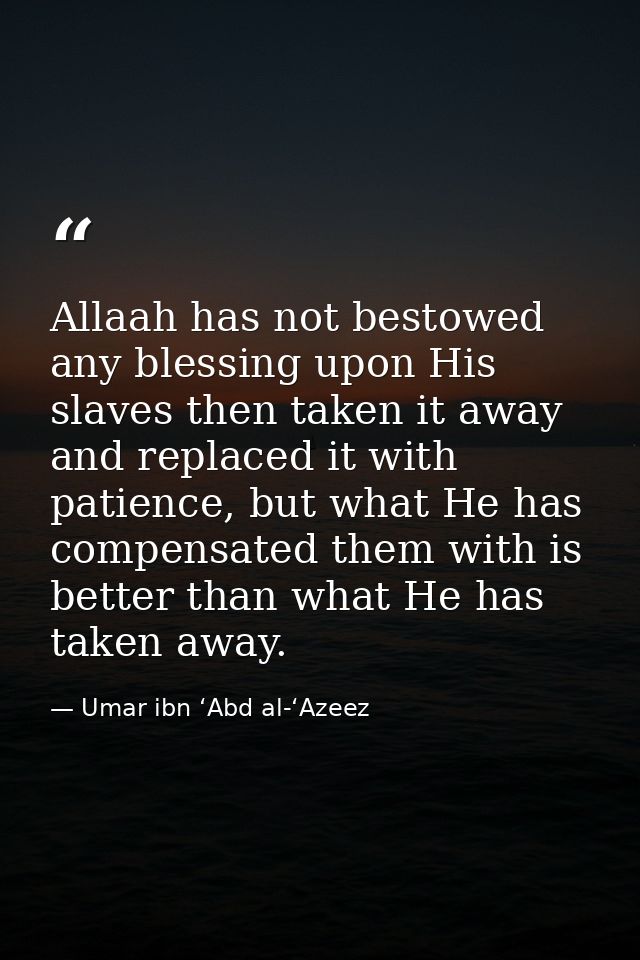 Allaah has not bestowed any blessing upon His slaves then taken it away and replaced it with patience, but what He has c — Umar ibn ‘Abd al-‘Azeez