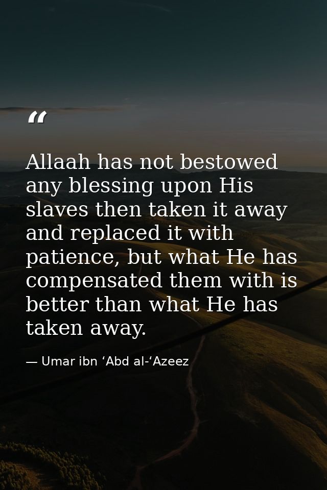 Allaah has not bestowed any blessing upon His slaves then taken it away and replaced it with patience, but what He has c — Umar ibn ‘Abd al-‘Azeez