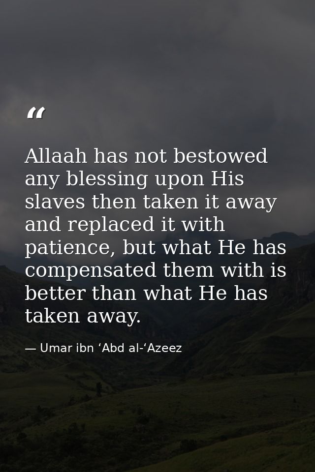 Allaah has not bestowed any blessing upon His slaves then taken it away and replaced it with patience, but what He has c — Umar ibn ‘Abd al-‘Azeez