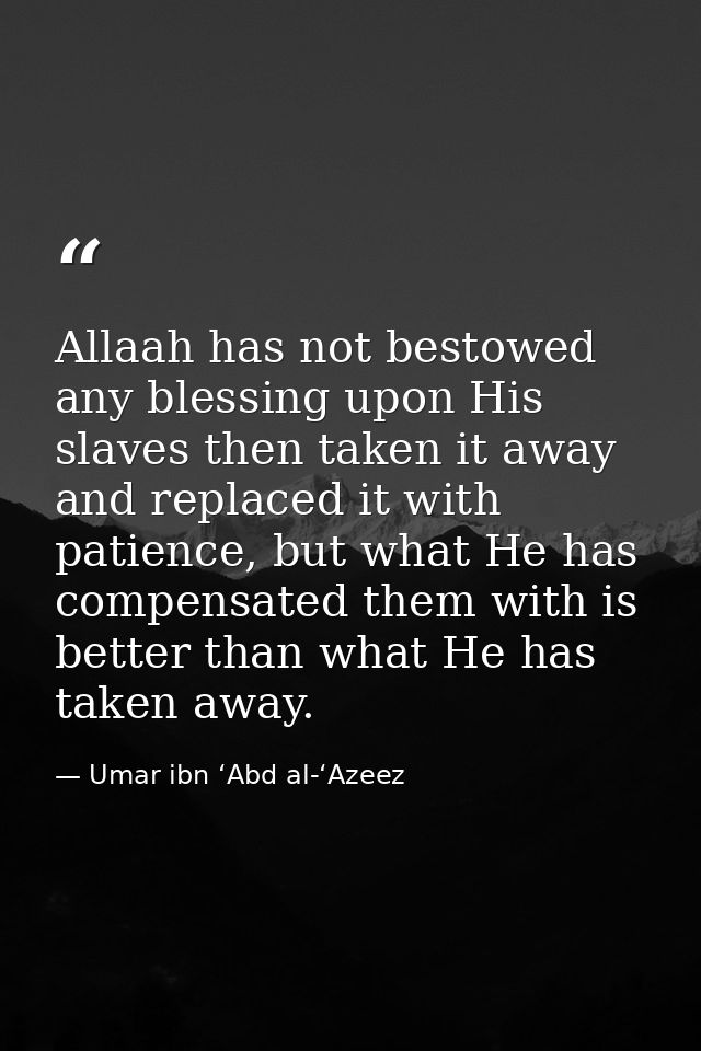 Allaah has not bestowed any blessing upon His slaves then taken it away and replaced it with patience, but what He has c — Umar ibn ‘Abd al-‘Azeez
