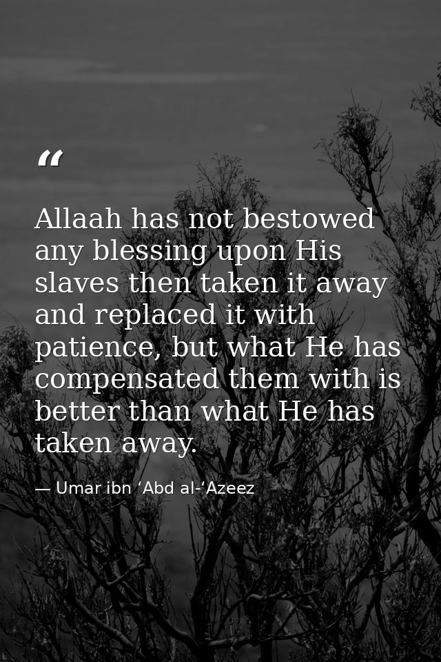 Allaah has not bestowed any blessing upon His slaves then taken it away and replaced it with patience, but what He has c — Umar ibn ‘Abd al-‘Azeez