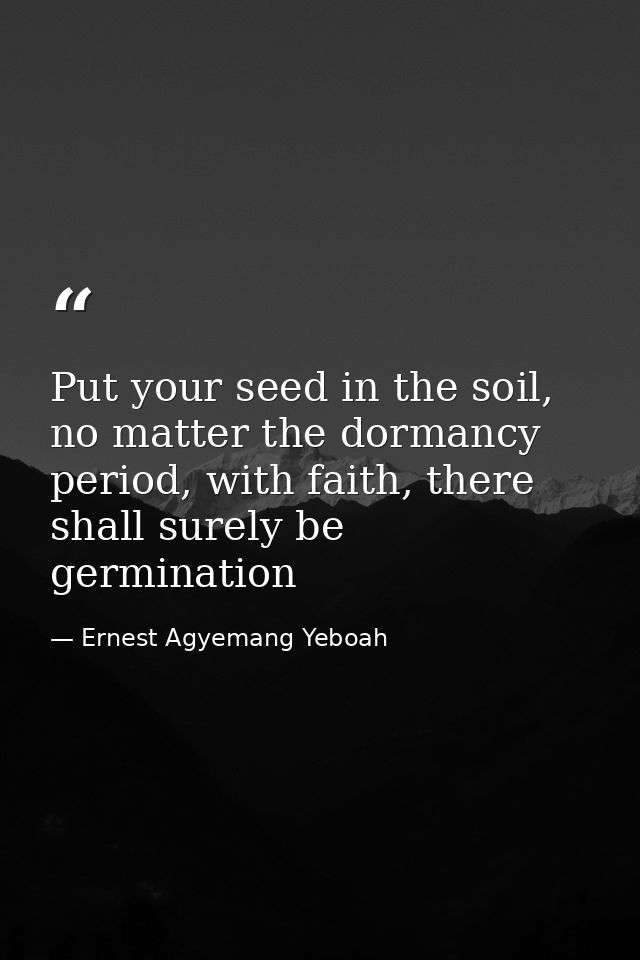 Put your seed in the soil, no matter the dormancy period, with faith, there shall surely be germination — Ernest Agyemang Yeboah