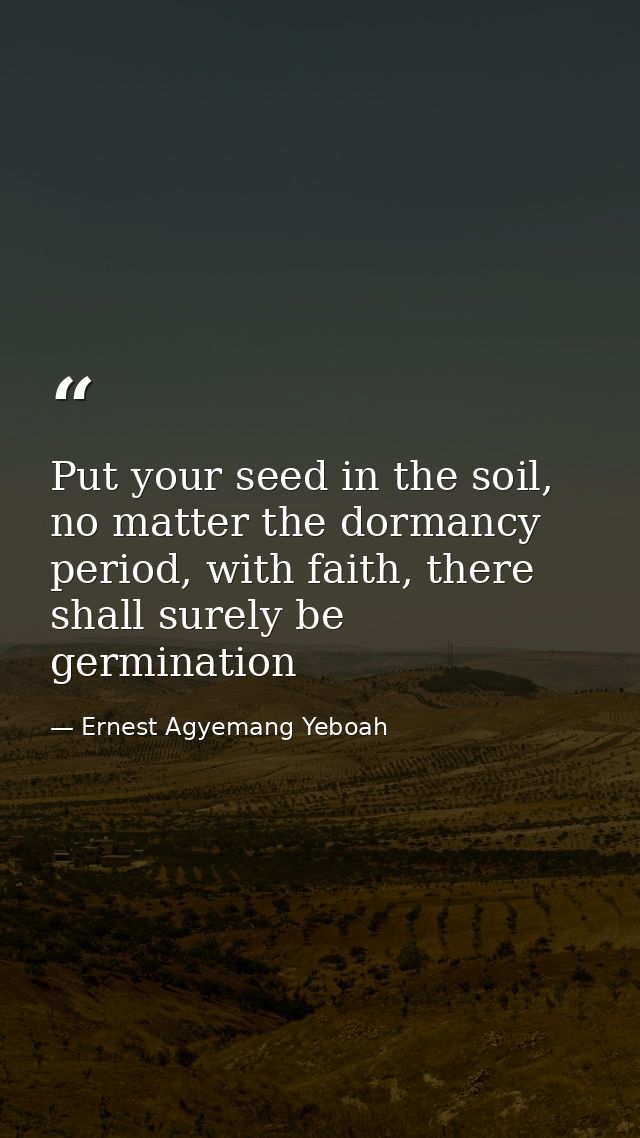 Put your seed in the soil, no matter the dormancy period, with faith, there shall surely be germination — Ernest Agyemang Yeboah