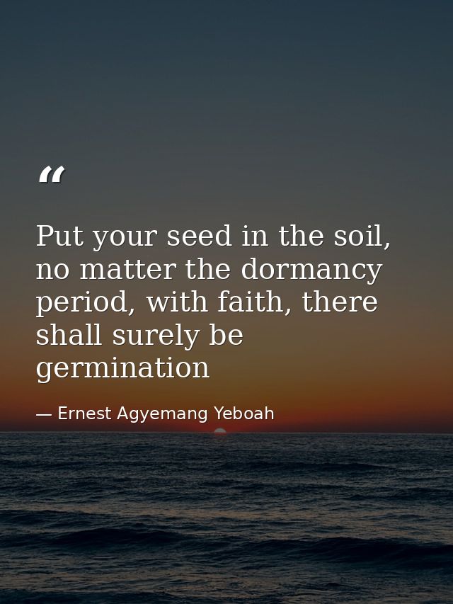 Put your seed in the soil, no matter the dormancy period, with faith, there shall surely be germination — Ernest Agyemang Yeboah