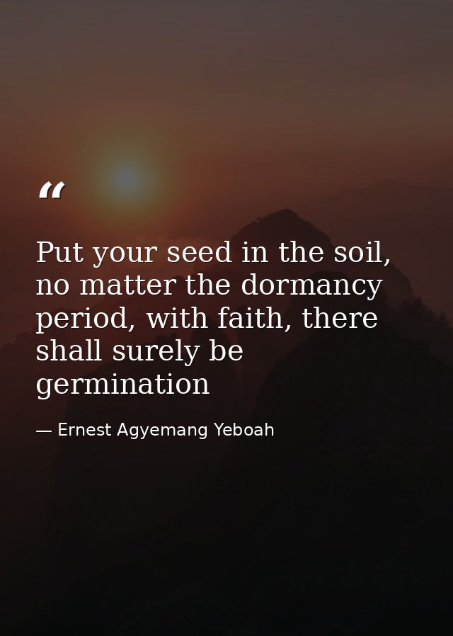 Put your seed in the soil, no matter the dormancy period, with faith, there shall surely be germination — Ernest Agyemang Yeboah