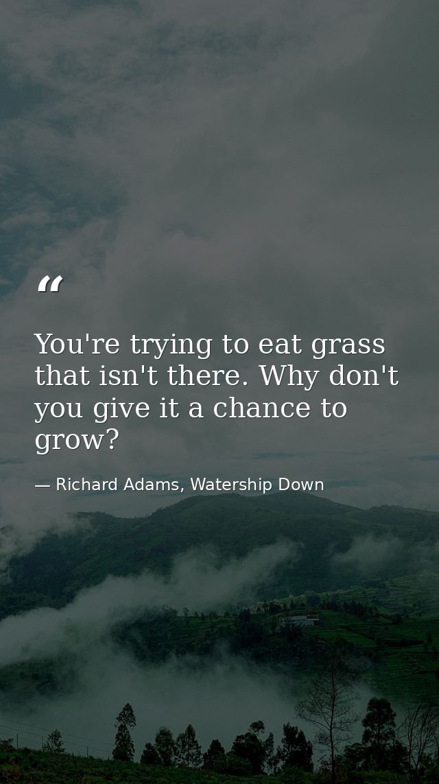 You're trying to eat grass that isn't there. Why don't you give it a chance to grow? — Richard Adams, Watership Down