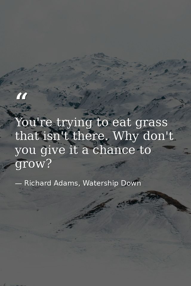 You're trying to eat grass that isn't there. Why don't you give it a chance to grow? — Richard Adams, Watership Down