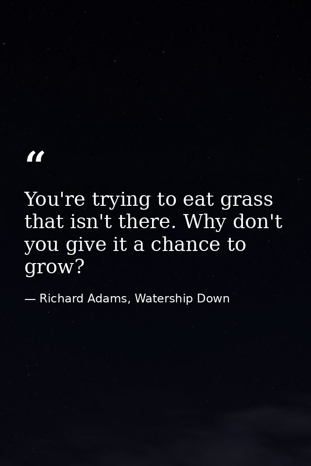 You're trying to eat grass that isn't there. Why don't you give it a chance to grow? — Richard Adams, Watership Down