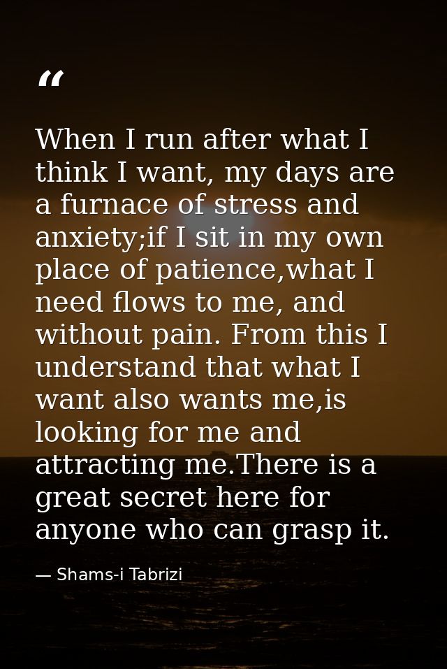 When I run after what I think I want, my days are a furnace of stress and anxiety;if I sit in my own place of patience,w — Shams-i Tabrizi