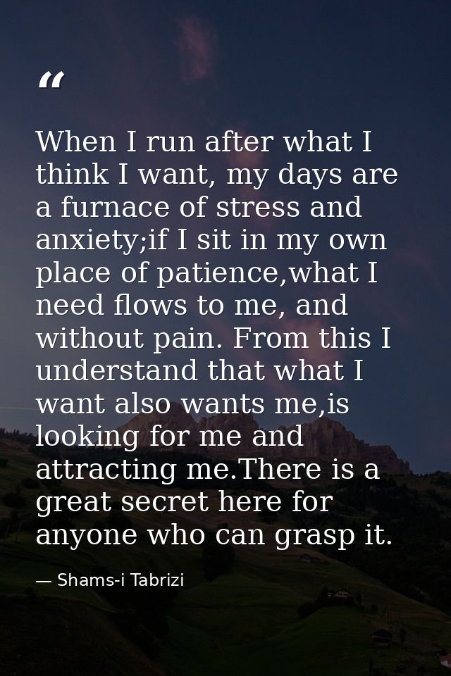 When I run after what I think I want, my days are a furnace of stress and anxiety;if I sit in my own place of patience,w — Shams-i Tabrizi