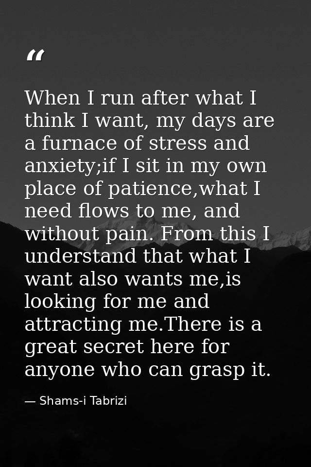 When I run after what I think I want, my days are a furnace of stress and anxiety;if I sit in my own place of patience,w — Shams-i Tabrizi