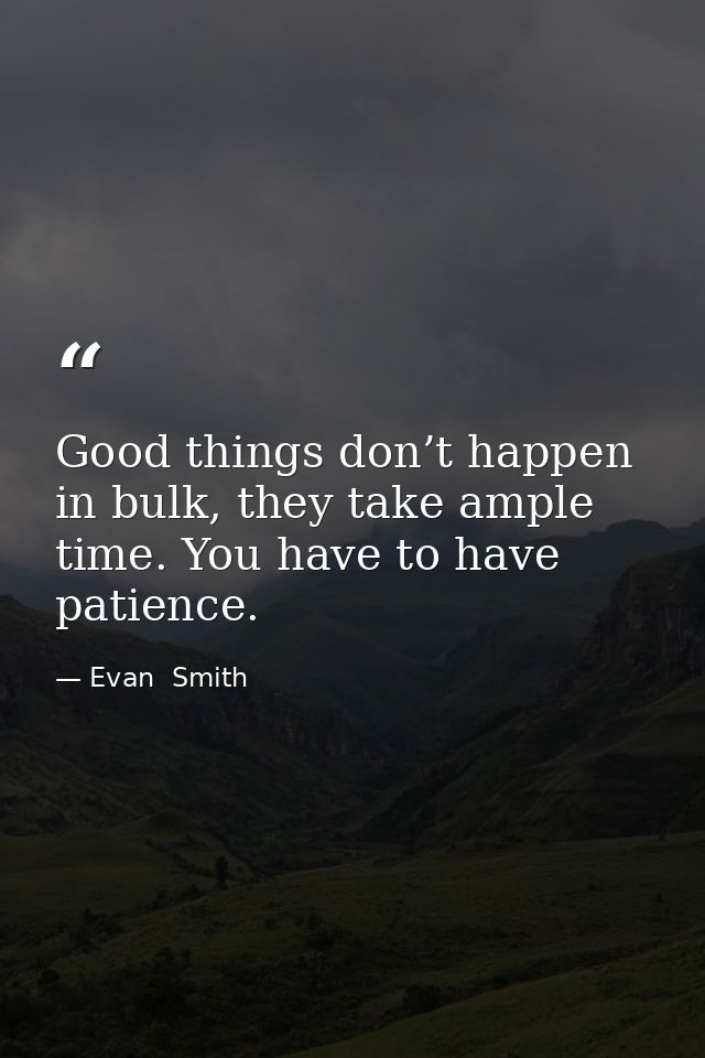 Good things don’t happen in bulk, they take ample time. You have to have patience. — Evan  Smith