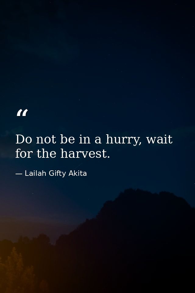 Do not be in a hurry, wait for the harvest. — Lailah Gifty Akita