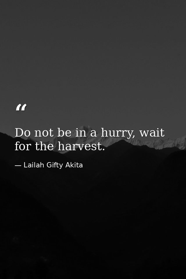 Do not be in a hurry, wait for the harvest. — Lailah Gifty Akita