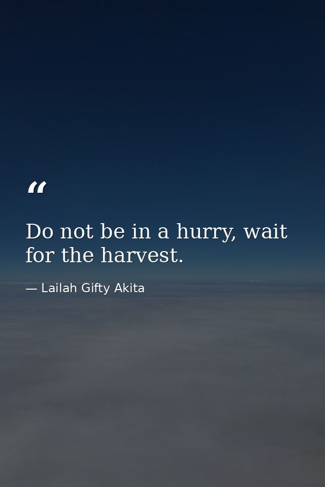 Do not be in a hurry, wait for the harvest. — Lailah Gifty Akita