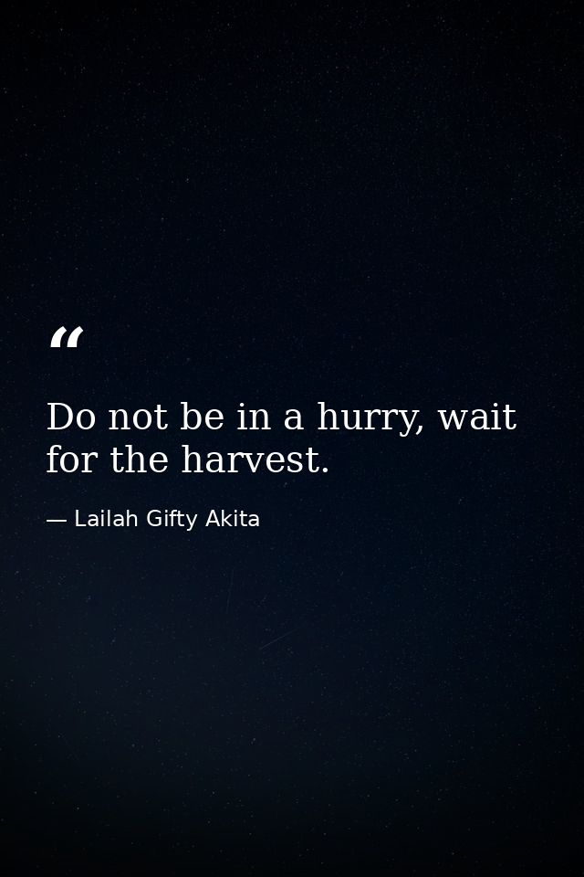 Do not be in a hurry, wait for the harvest. — Lailah Gifty Akita