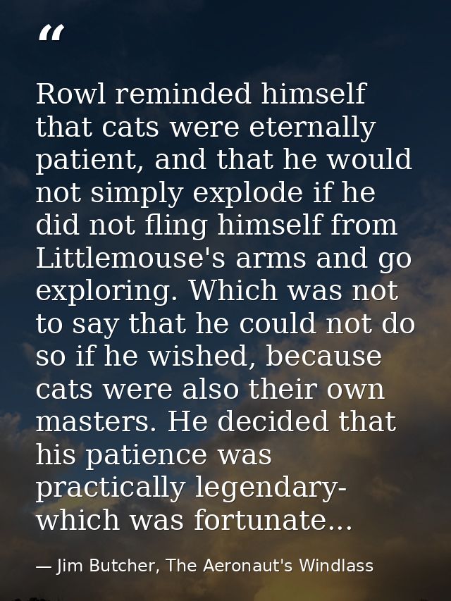 Rowl reminded himself that cats were eternally patient, and that he would not simply explode if he did not fling himself — Jim Butcher, The Aeronaut's Windlass