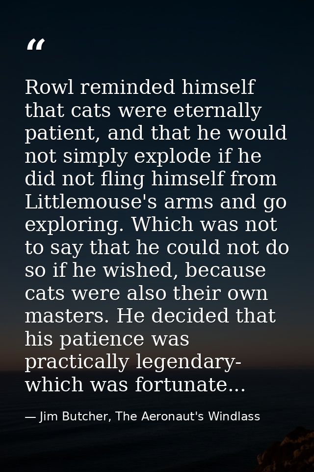 Rowl reminded himself that cats were eternally patient, and that he would not simply explode if he did not fling himself — Jim Butcher, The Aeronaut's Windlass