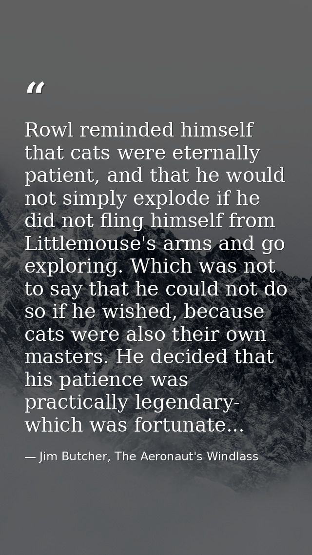 Rowl reminded himself that cats were eternally patient, and that he would not simply explode if he did not fling himself — Jim Butcher, The Aeronaut's Windlass