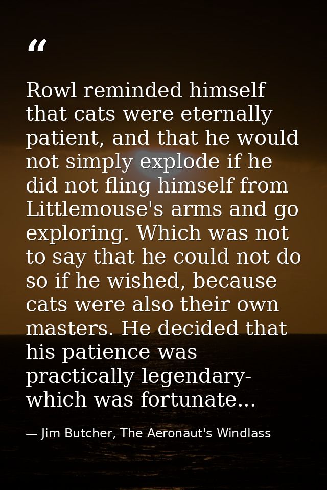 Rowl reminded himself that cats were eternally patient, and that he would not simply explode if he did not fling himself — Jim Butcher, The Aeronaut's Windlass