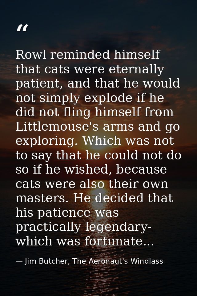 Rowl reminded himself that cats were eternally patient, and that he would not simply explode if he did not fling himself — Jim Butcher, The Aeronaut's Windlass