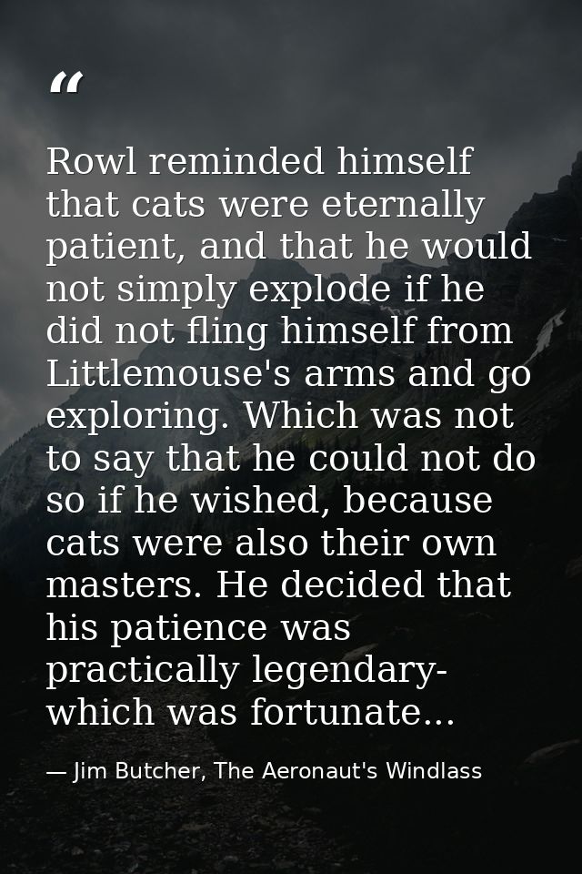 Rowl reminded himself that cats were eternally patient, and that he would not simply explode if he did not fling himself — Jim Butcher, The Aeronaut's Windlass