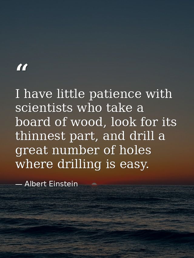 I have little patience with scientists who take a board of wood, look for its thinnest part, and drill a great number of — Albert Einstein