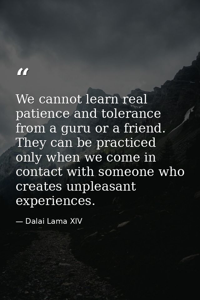 We cannot learn real patience and tolerance from a guru or a friend. They can be practiced only when we come in contact  — Dalai Lama XIV