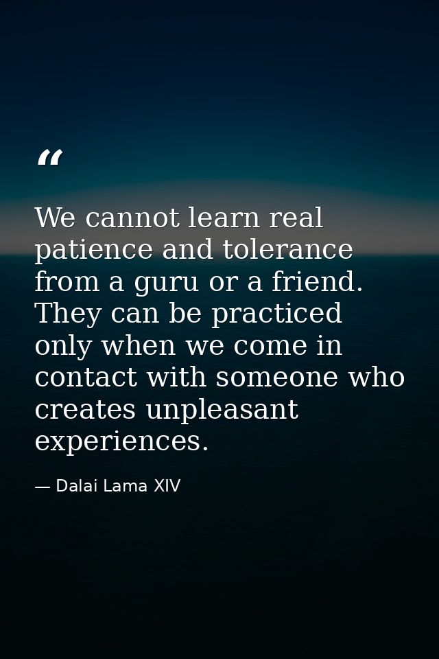 We cannot learn real patience and tolerance from a guru or a friend. They can be practiced only when we come in contact  — Dalai Lama XIV