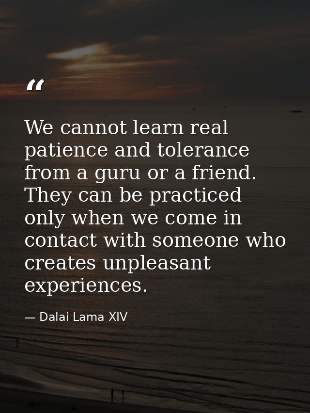 We cannot learn real patience and tolerance from a guru or a friend. They can be practiced only when we come in contact  — Dalai Lama XIV